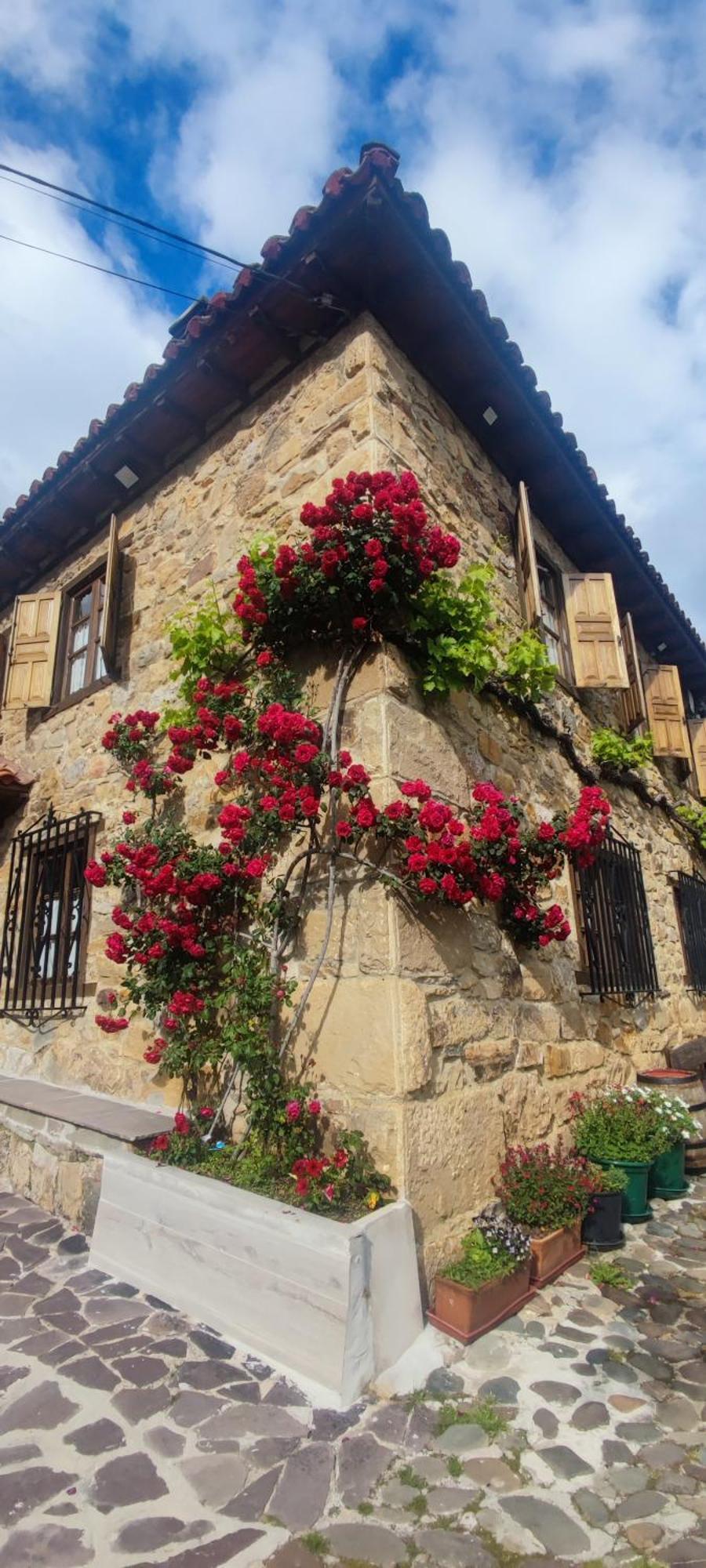 Nuestra Casa De Luriezo Villa Cabezón de Liébana Eksteriør bilde